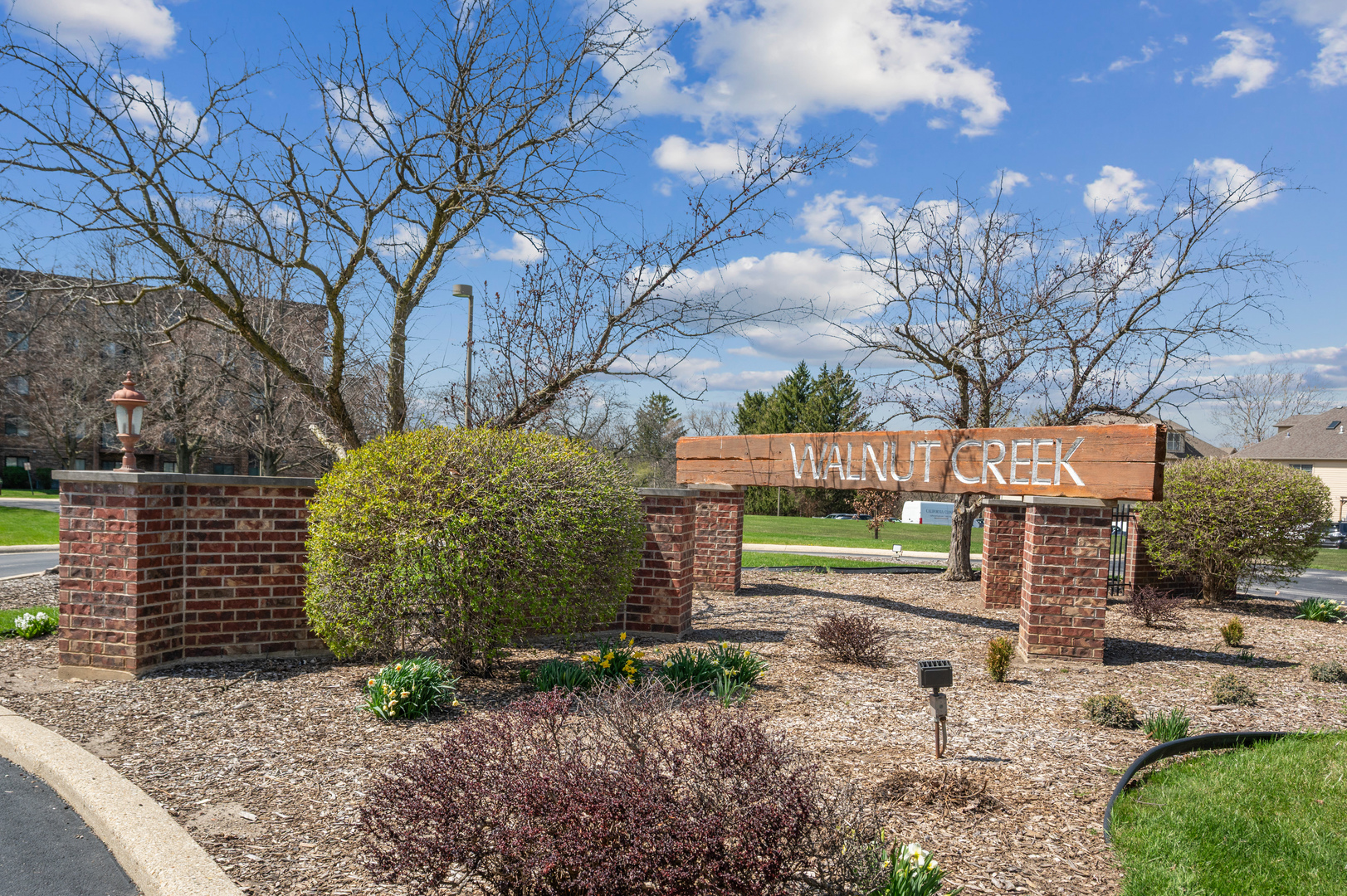 430 Walnut Creek Road, Unit 2405 Lisle, IL 60532 - Photo 1 of 1 a view of a street with large trees