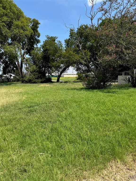 820 Calumet Avenue Waco, TX 76704 - Photo 2 of 7 a view of a field of grass and trees