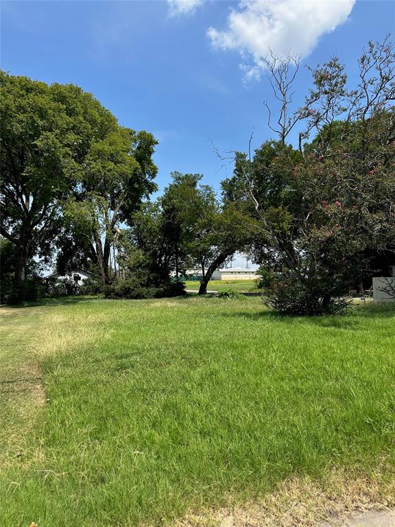 820 Calumet Avenue Waco, TX 76704 - Photo 6 of 7 a backyard of a house with lots of green space