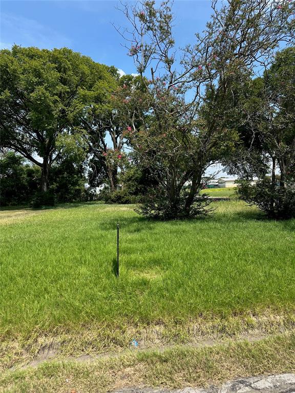 820 Calumet Avenue Waco, TX 76704 - Photo 7 of 7 a view of green field with trees in the background