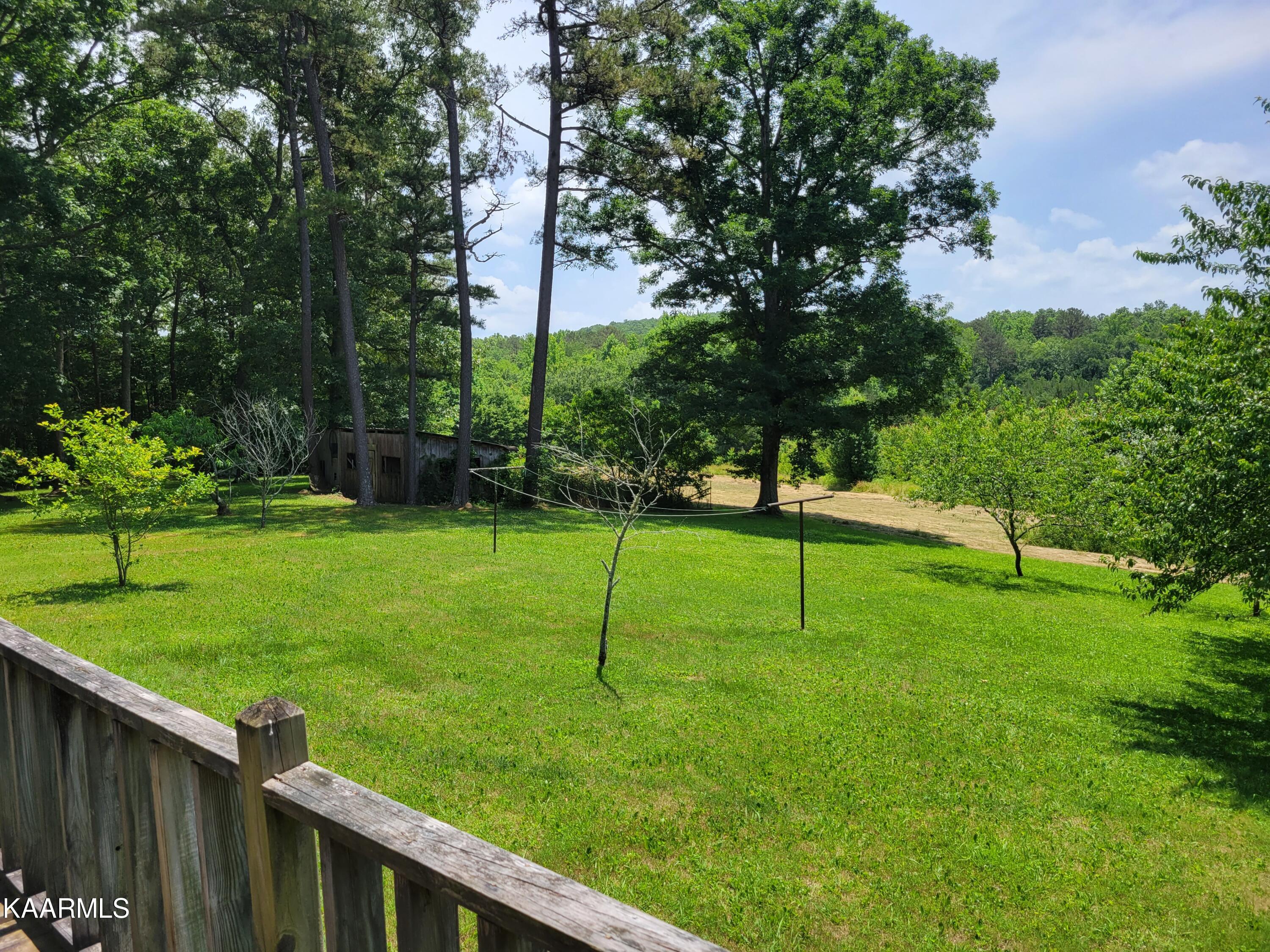 170 Massingale Road Tellico Plains, TN 37385 - Photo 20 of 45 20220614_140433