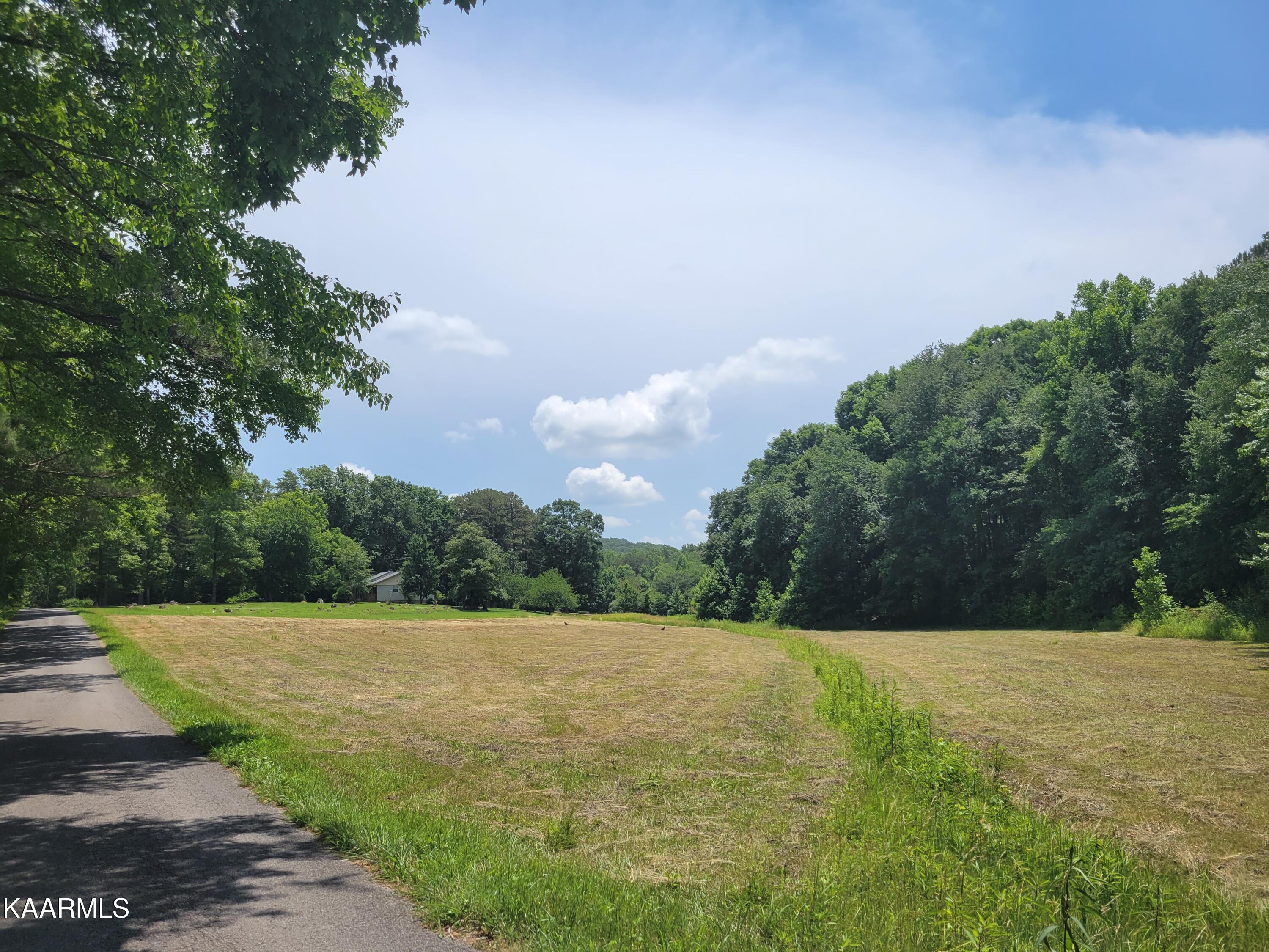 170 Massingale Road Tellico Plains, TN 37385 - Photo 2 of 45 20220614_134430
