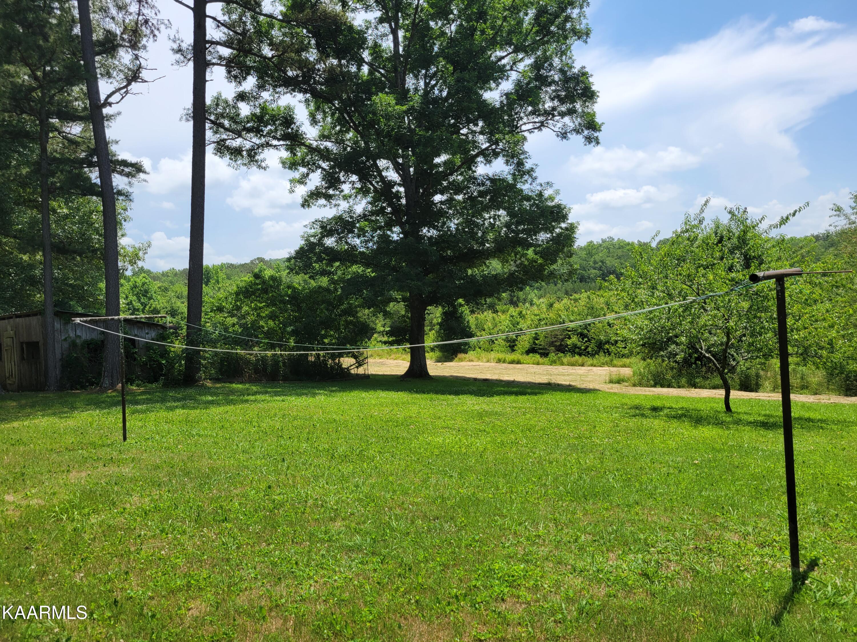 170 Massingale Road Tellico Plains, TN 37385 - Photo 21 of 45 20220614_140526