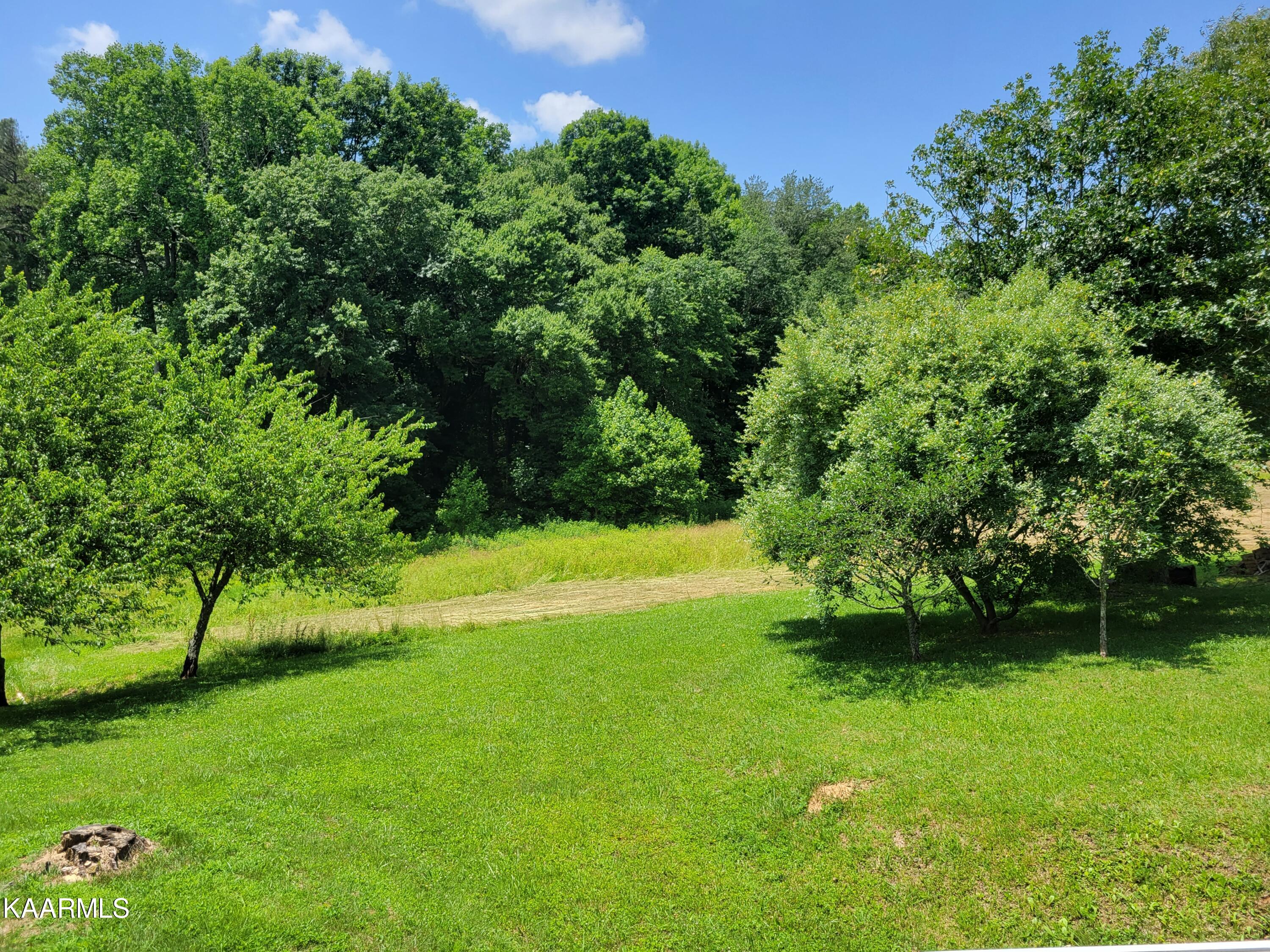 170 Massingale Road Tellico Plains, TN 37385 - Photo 22 of 45 20220614_140441