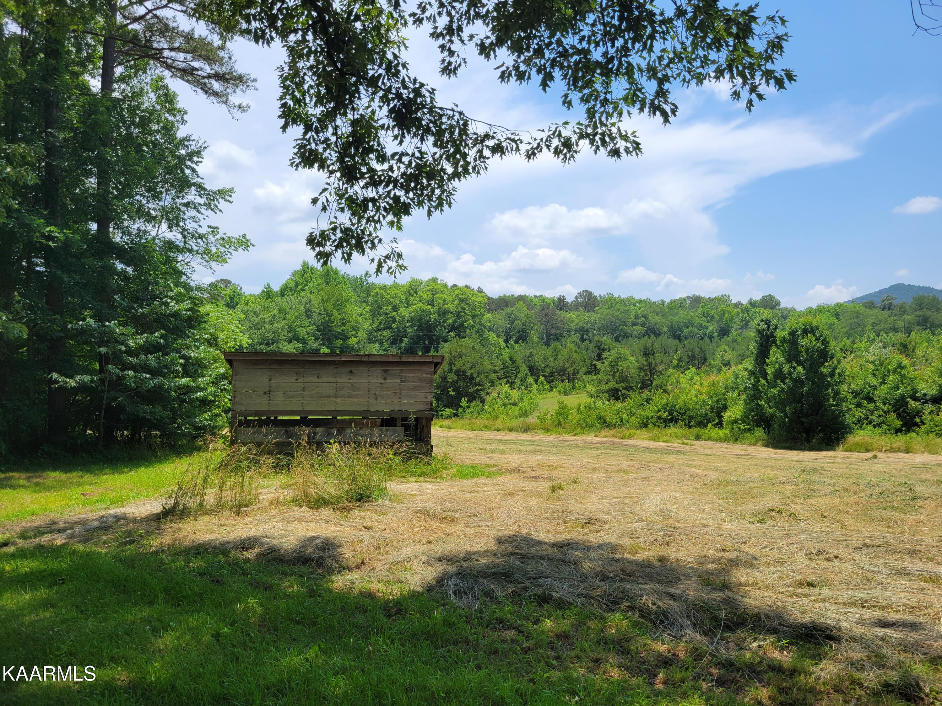 170 Massingale Road Tellico Plains, TN 37385 - Photo 26 of 45 20220614_140633