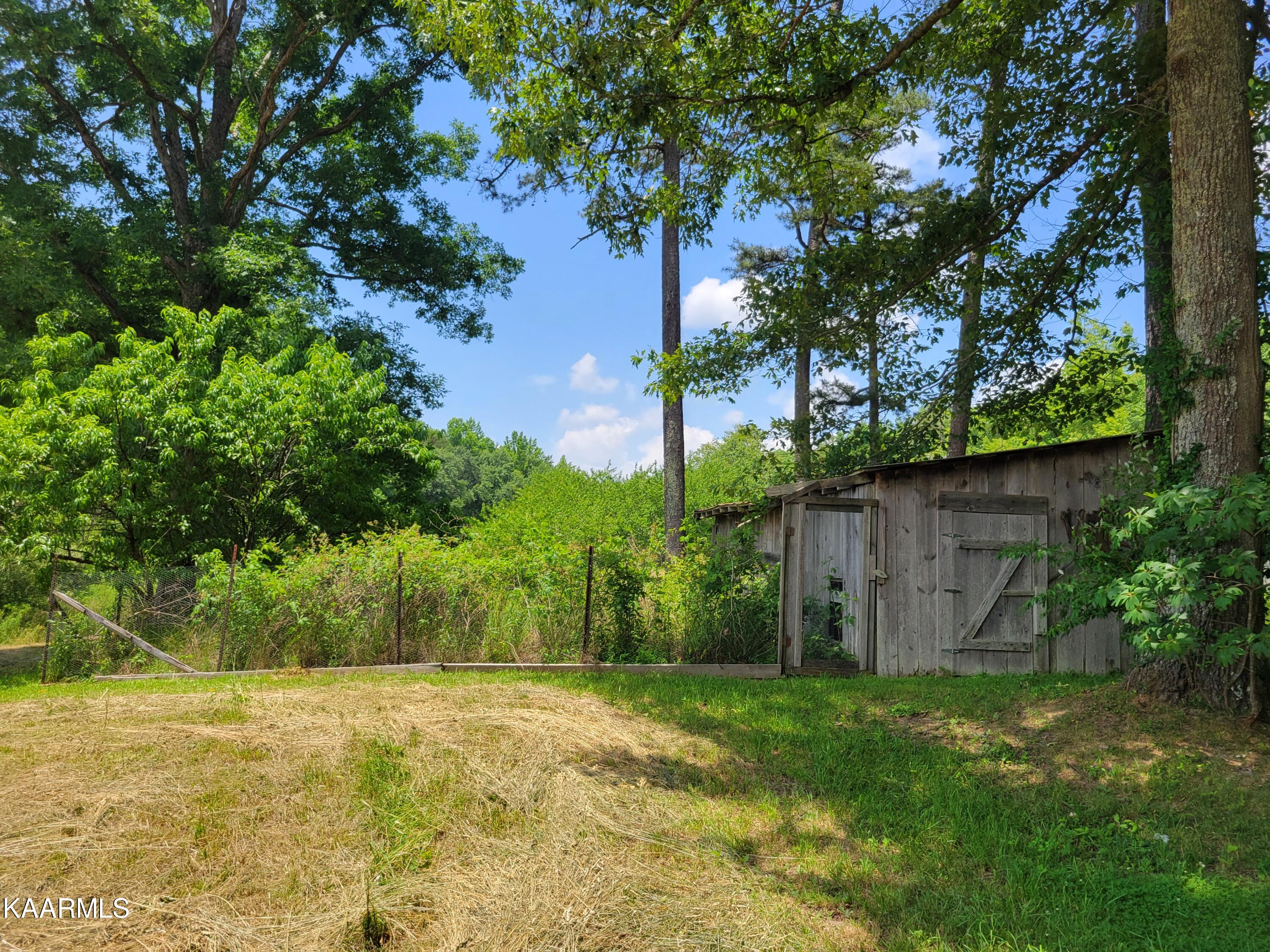 170 Massingale Road Tellico Plains, TN 37385 - Photo 27 of 45 20220614_140647