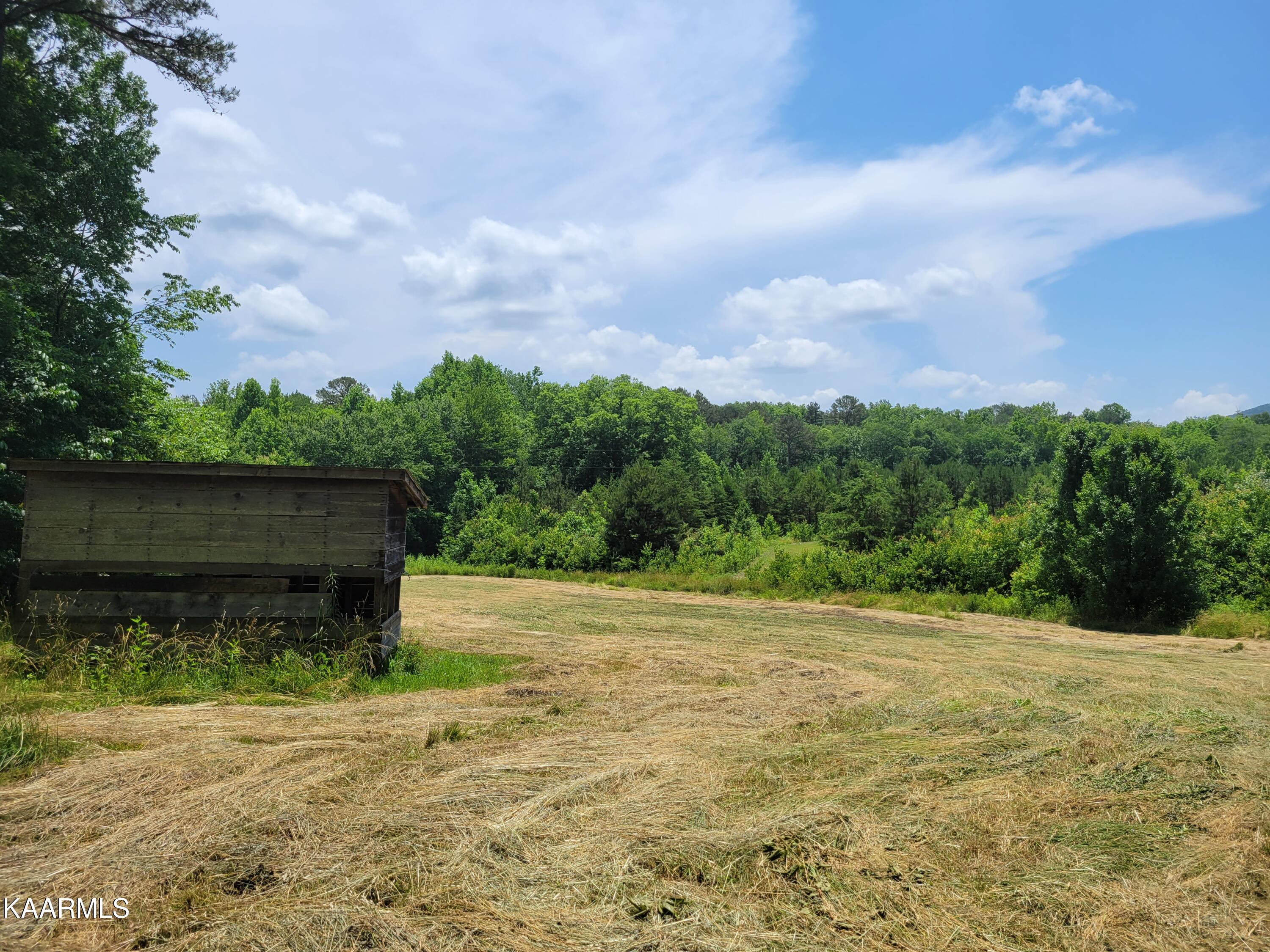 170 Massingale Road Tellico Plains, TN 37385 - Photo 28 of 45 20220614_140658