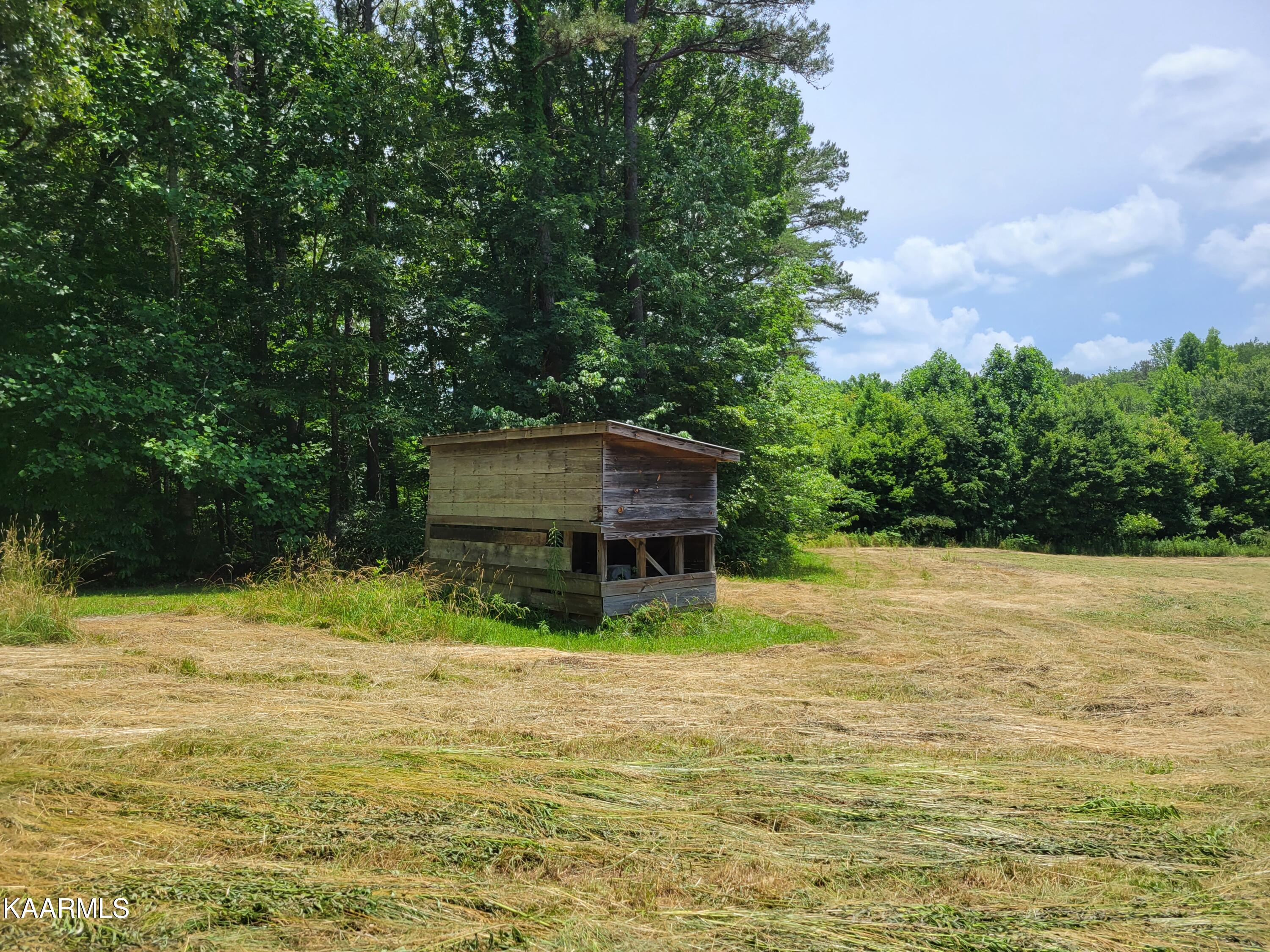 170 Massingale Road Tellico Plains, TN 37385 - Photo 30 of 45 20220614_140716