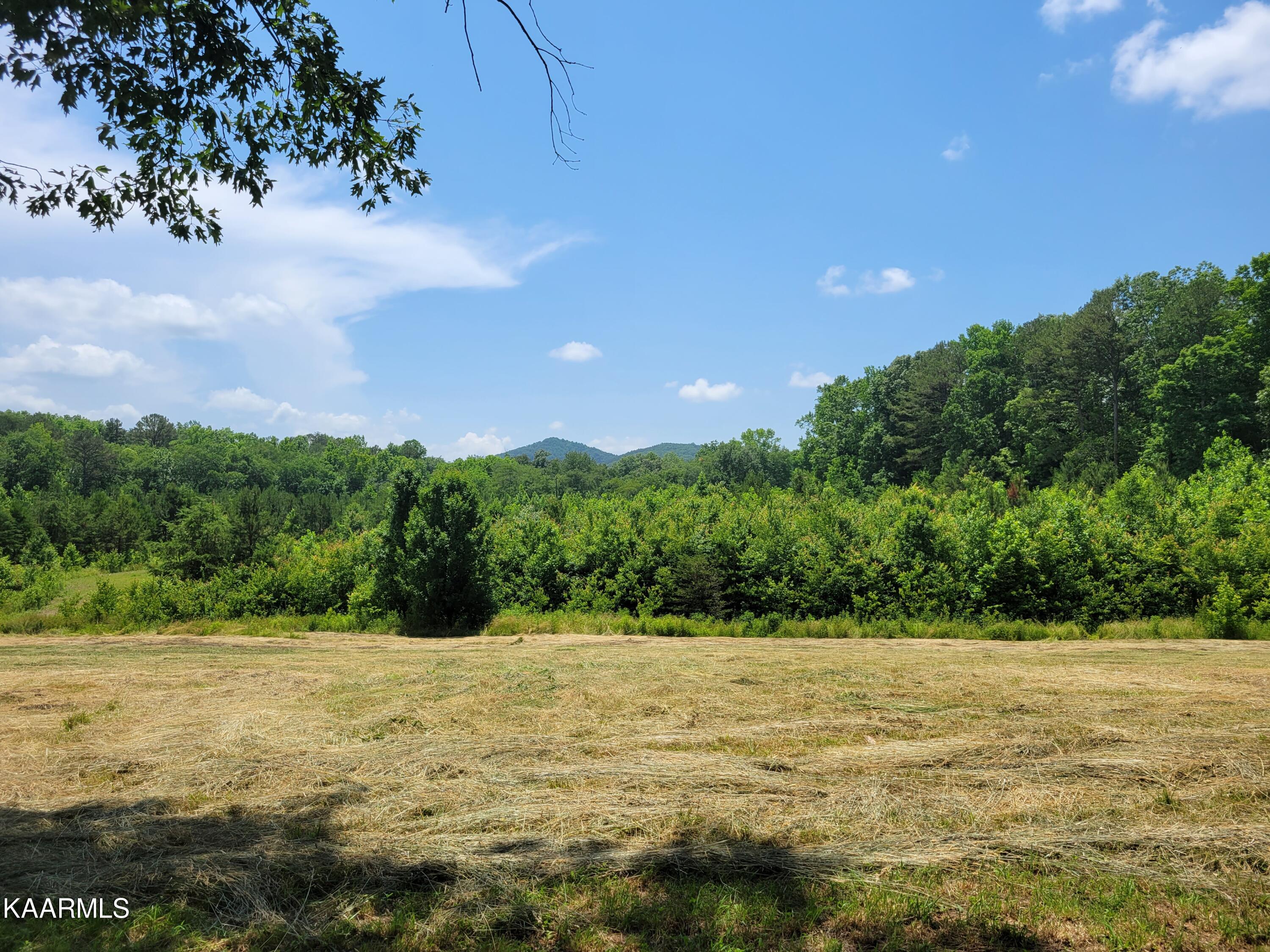 170 Massingale Road Tellico Plains, TN 37385 - Photo 3 of 45 20220614_140631