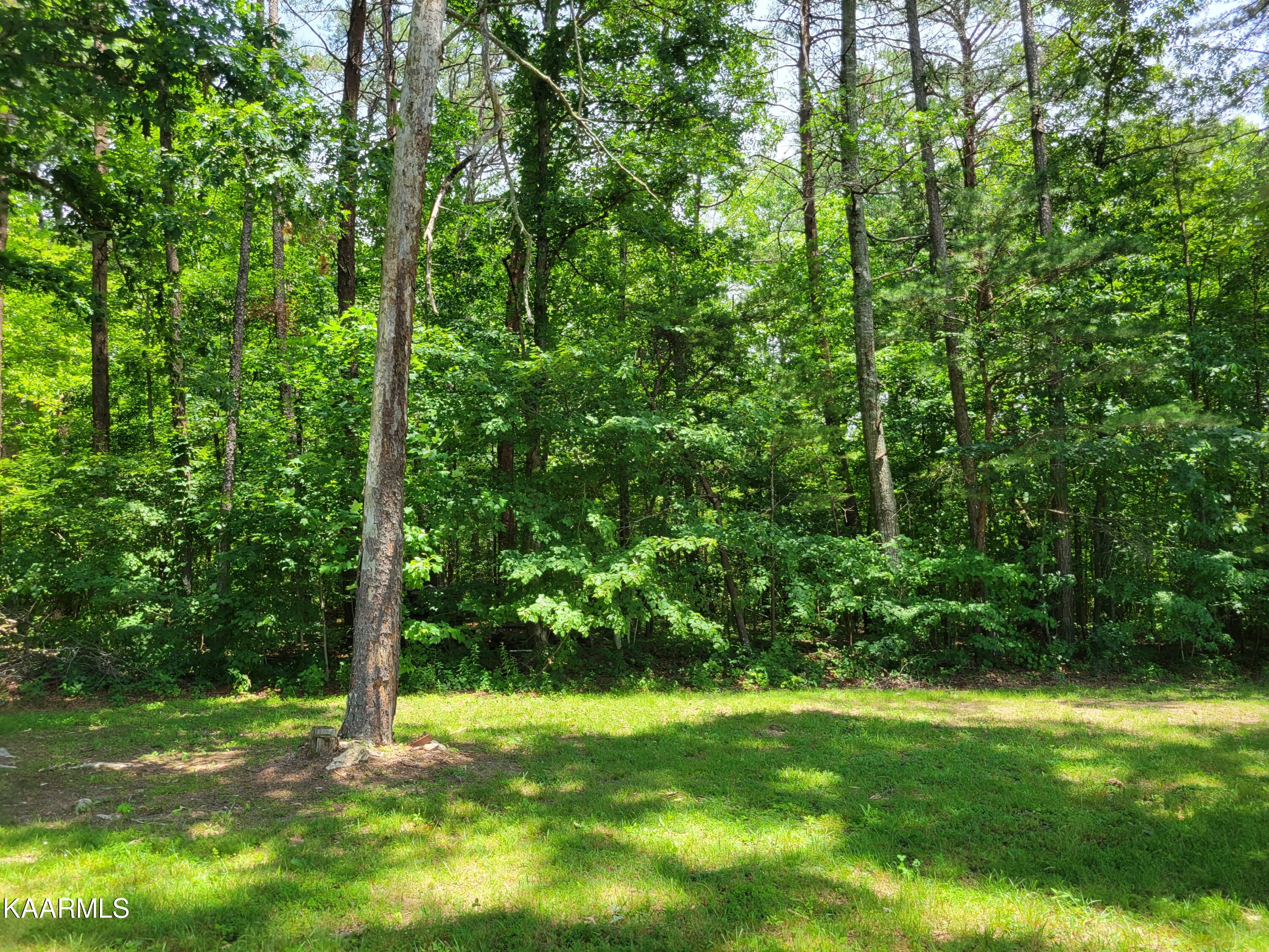 170 Massingale Road Tellico Plains, TN 37385 - Photo 32 of 45 20220614_140815