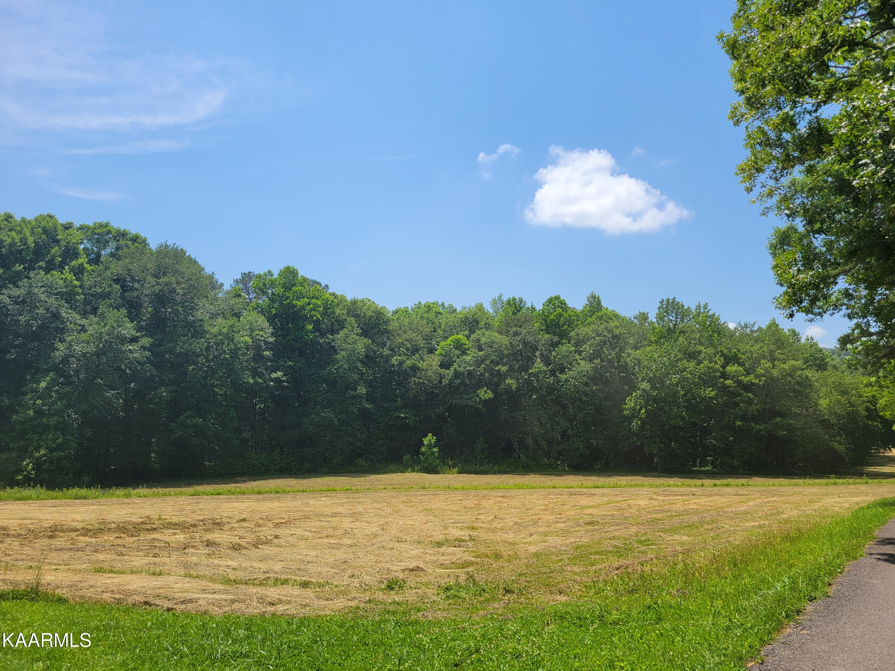 170 Massingale Road Tellico Plains, TN 37385 - Photo 35 of 45 20220614_144600