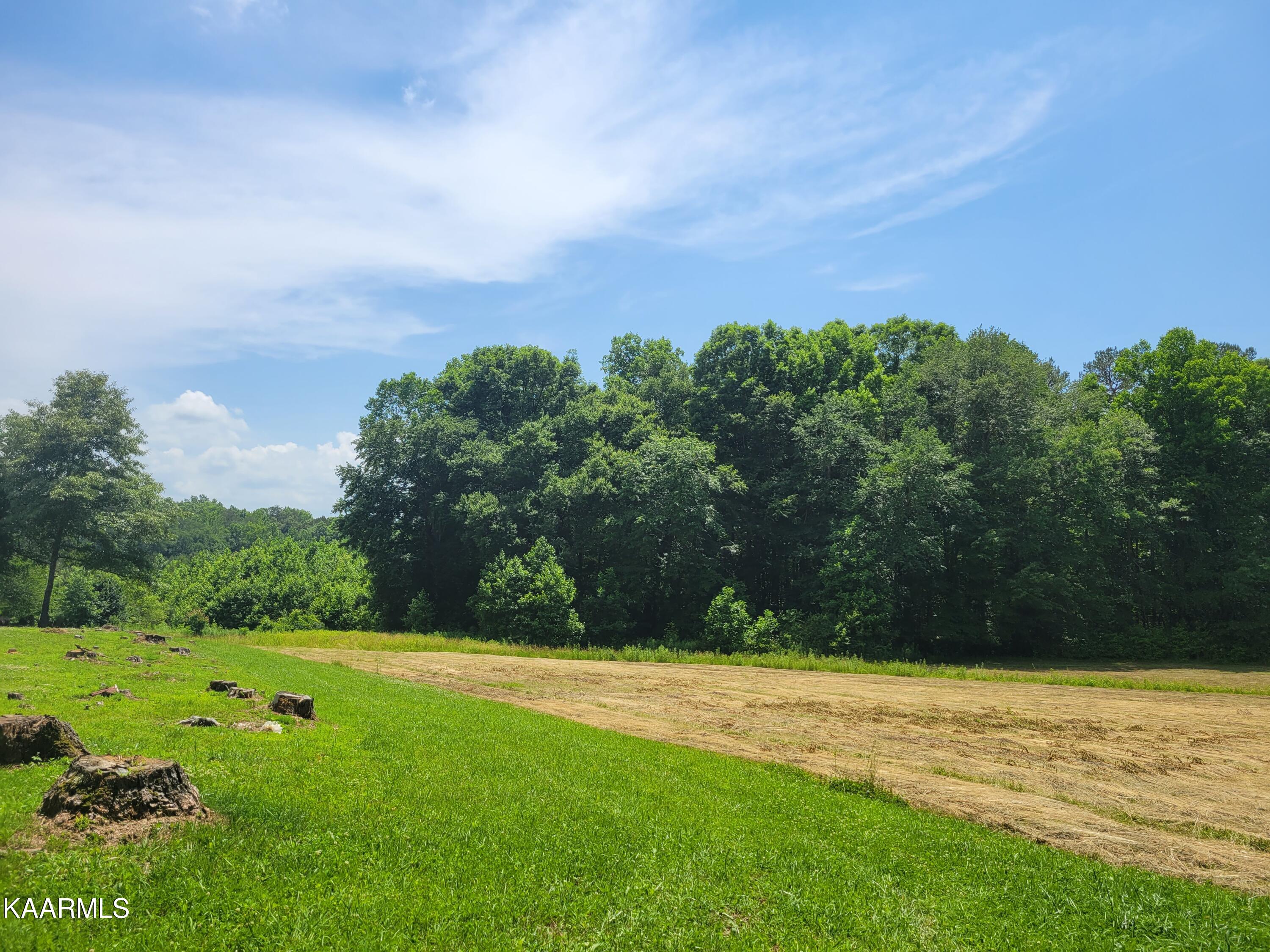 170 Massingale Road Tellico Plains, TN 37385 - Photo 36 of 45 20220614_144606