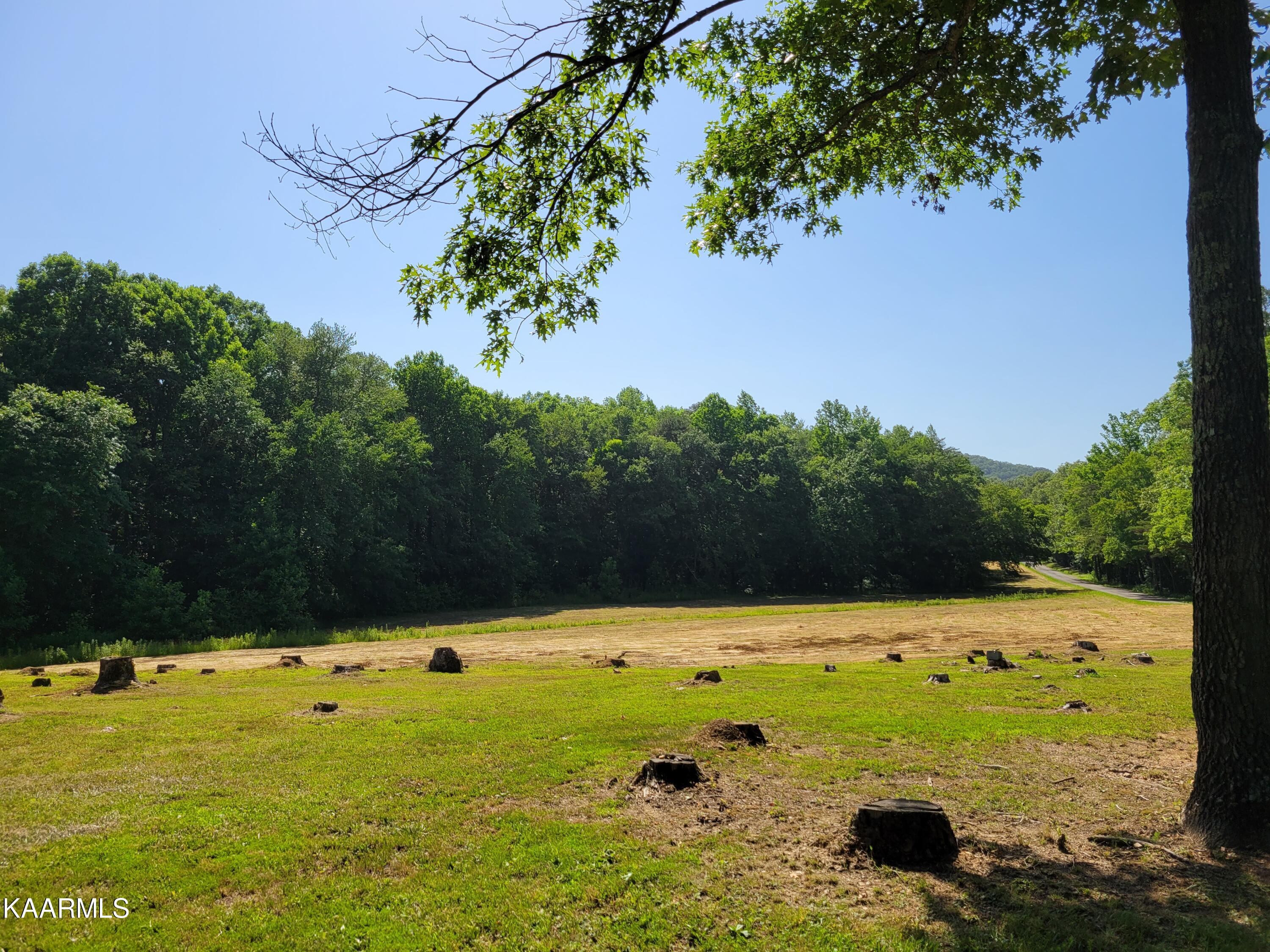 170 Massingale Road Tellico Plains, TN 37385 - Photo 40 of 45 20220615_162813