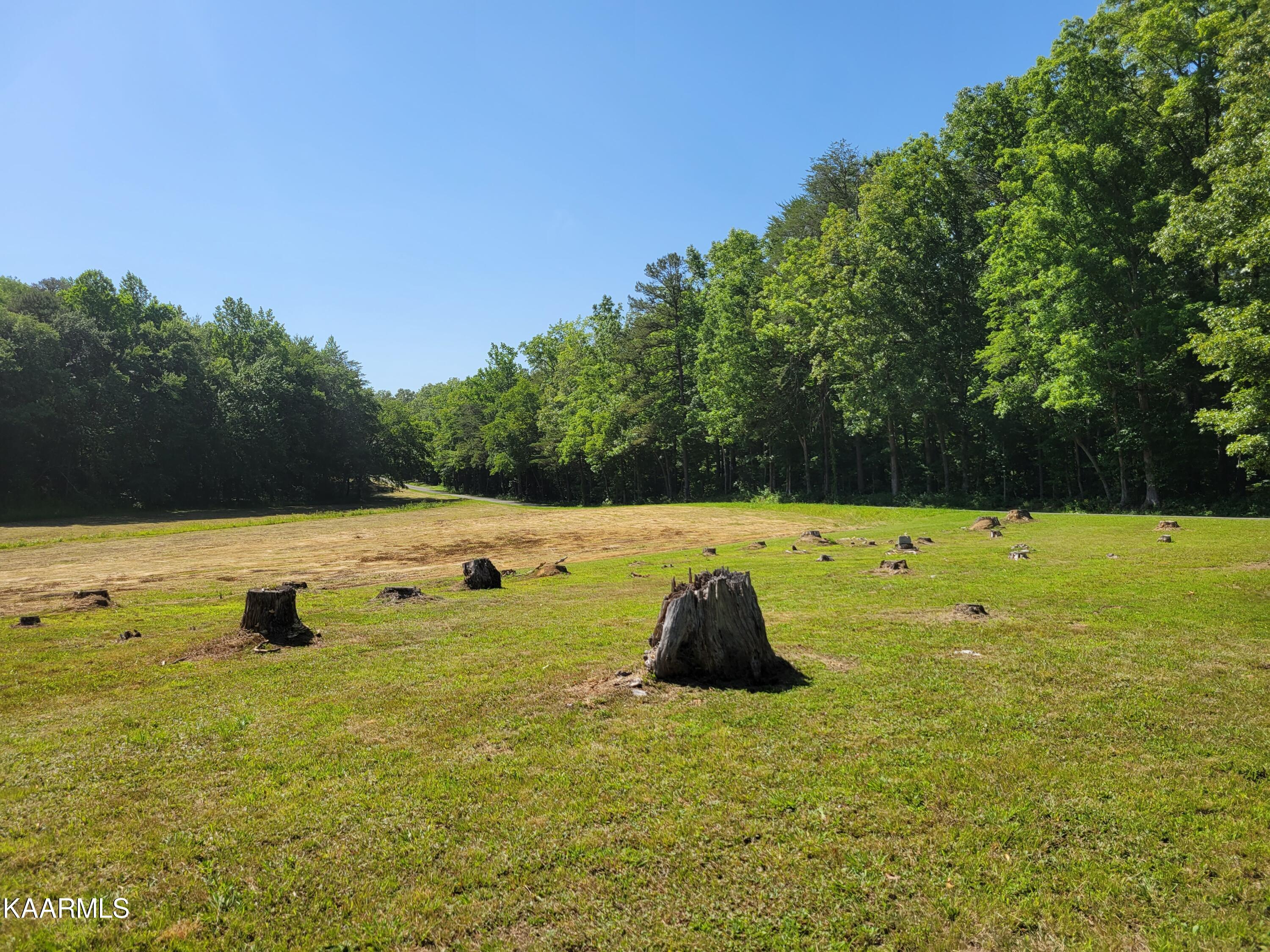 170 Massingale Road Tellico Plains, TN 37385 - Photo 41 of 45 20220615_162845