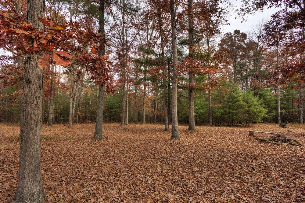 282 Anthony Road Deer Lodge, TN 37726 - Photo 30 of 40 Gallery Image 30