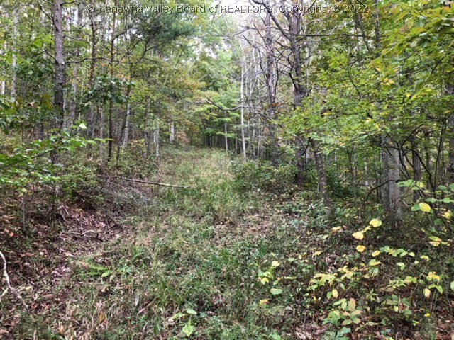 0 First Creek Road Ripley, WV 25271 - Photo 7 of 20 Gallery Image 7
