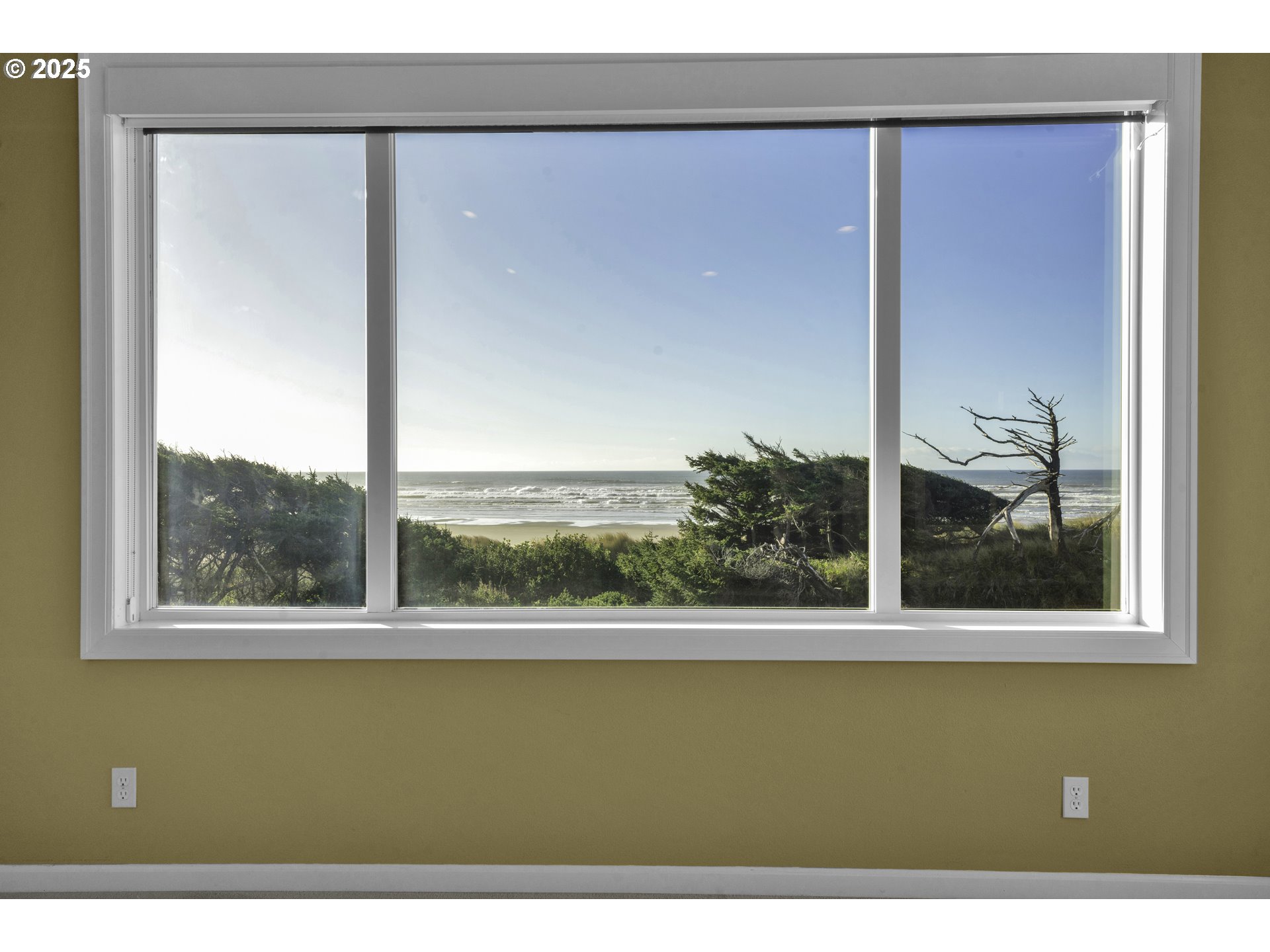 88765 Shoreline Loop Florence, OR 97439 - Photo 12 of 48 a view of a green field