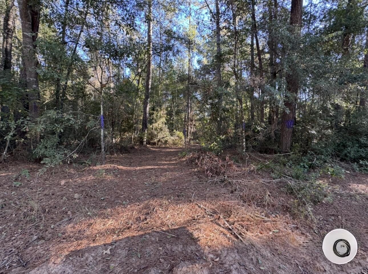 Tbd Sandy Creek Road Willis, TX 77378 - Photo 3 of 5