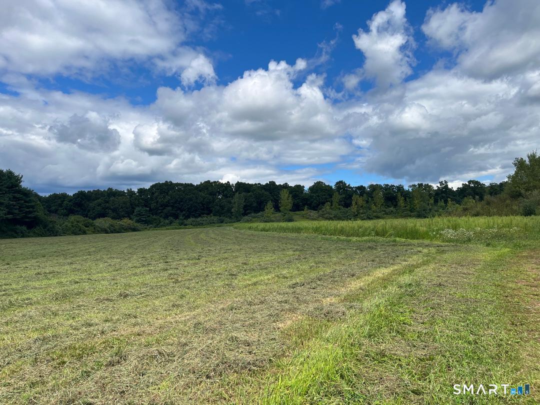 Sadds Mill Road Ellington, CT 06029 - Photo 2 of 2 Gallery Image 2