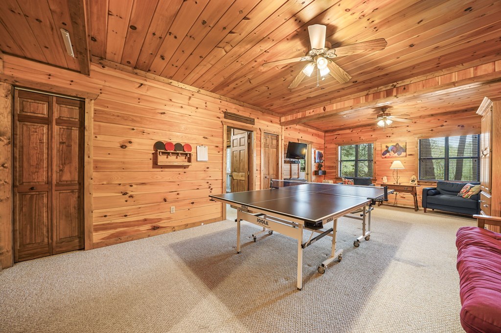 58 River Road Cherry Log, GA 30522 - Photo 44 of 59