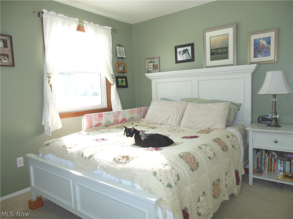 1704 Falkirk Road Madison, OH 44057 - Photo 14 of 26