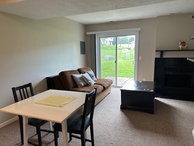 700 North Adelaide Street, Unit 85 Normal, IL 61761 - Photo 8 of 19