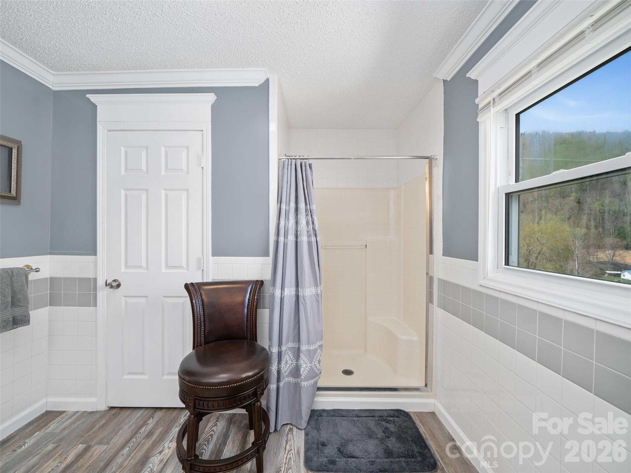 173 Odoms Chapel Road Bakersville, NC 28705 - Photo 17 of 36