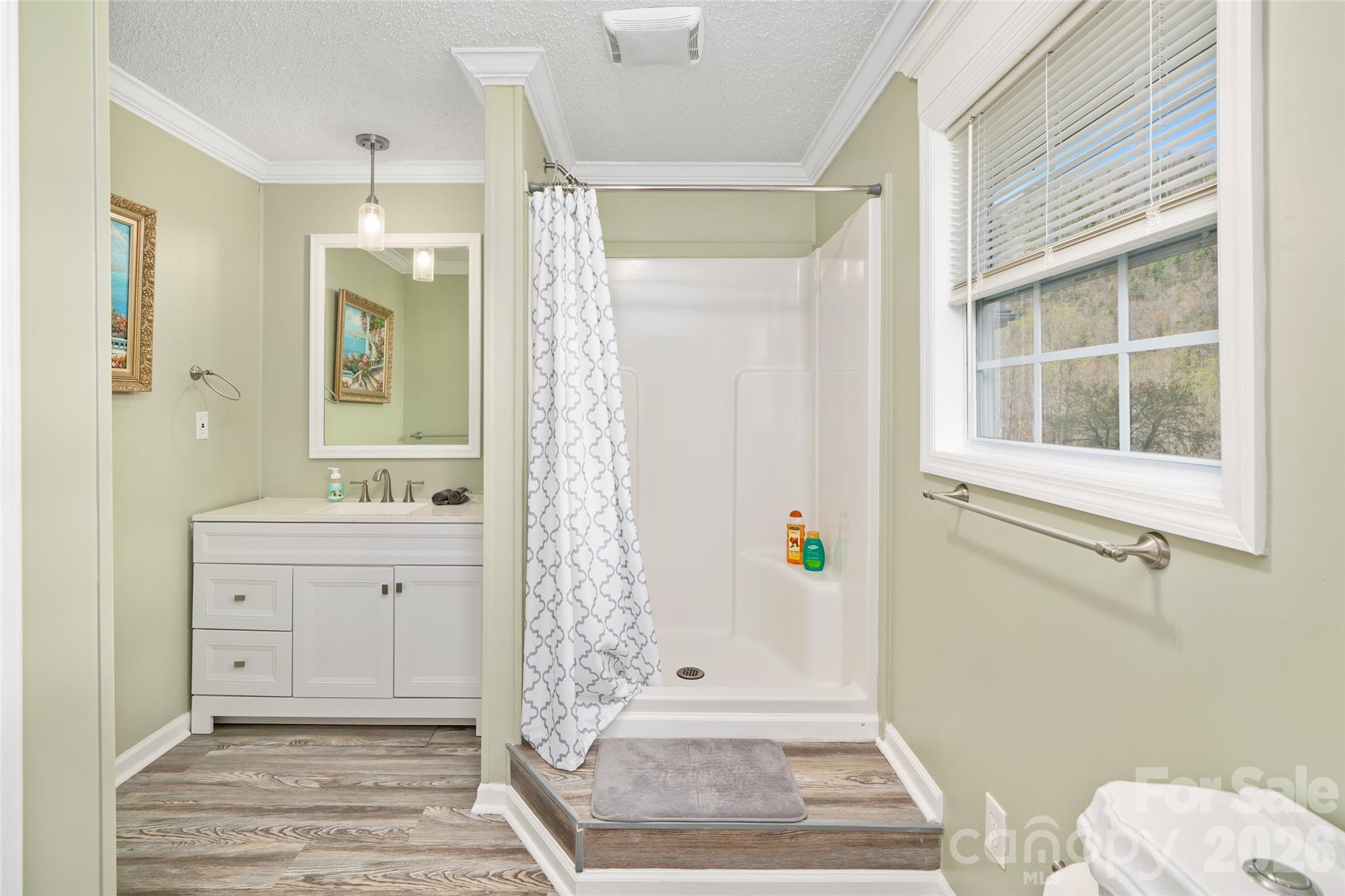 173 Odoms Chapel Road Bakersville, NC 28705 - Photo 23 of 36