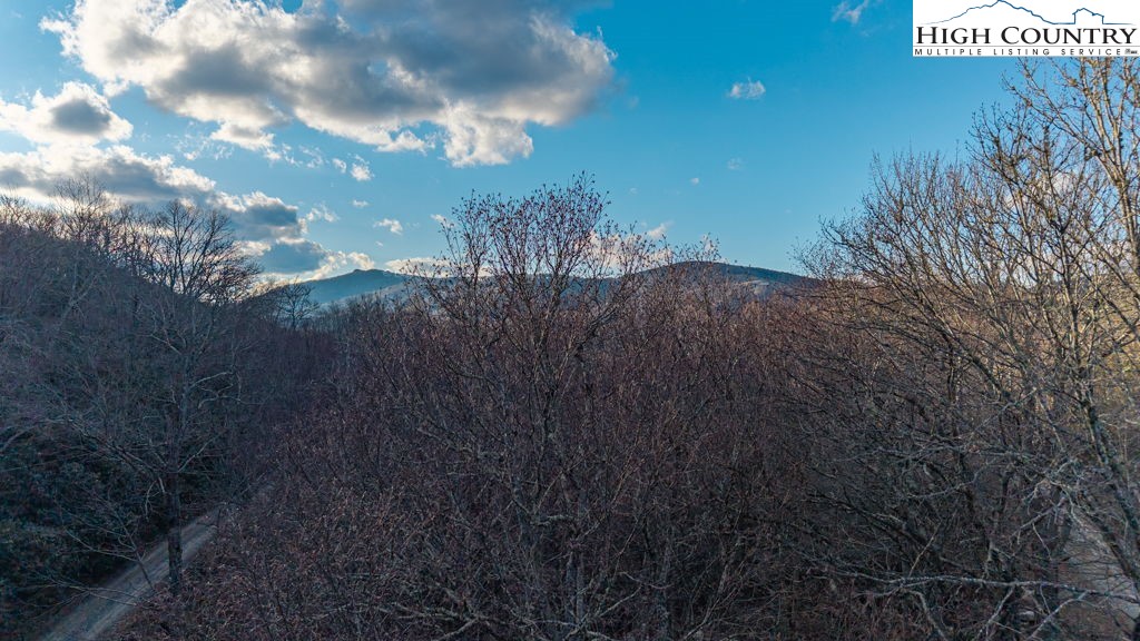 36 Snow Ridge Road Banner Elk, NC 28604 - Photo 2 of 3 a view of outdoor space and garden