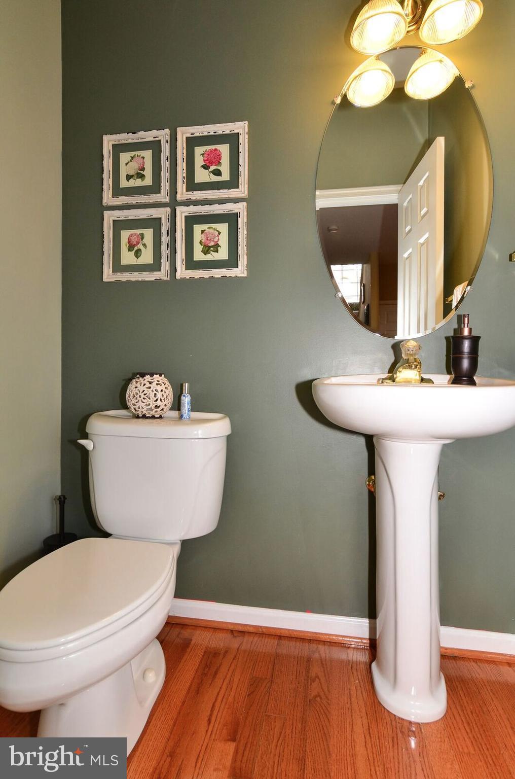 6079 Deer Ridge Trail Springfield, VA 22150 - Photo 12 of 30 Bath