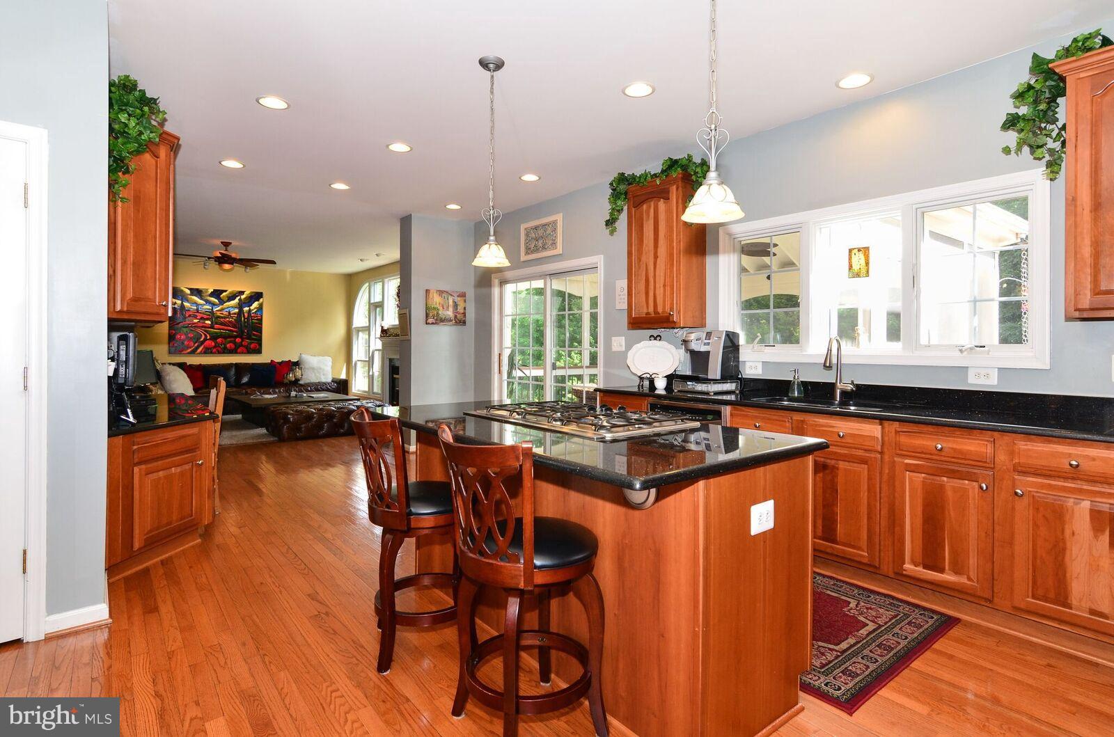 6079 Deer Ridge Trail Springfield, VA 22150 - Photo 3 of 30 Kitchen