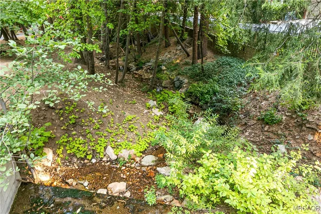 a view of a tree with a yard