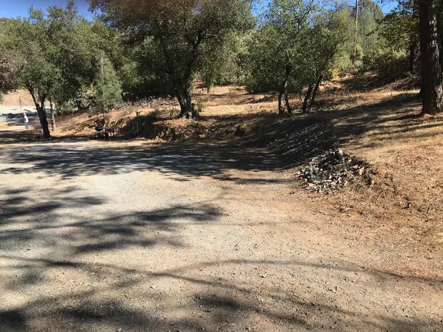 a view of a yard with a tree