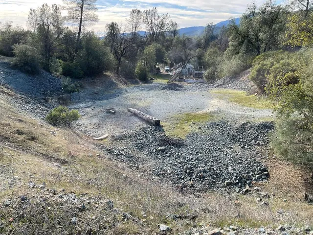 a view of a dry yard with trees