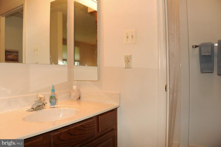 7554 Aspenpark Road Lorton, VA 22079 - Photo 27 of 30 Bath (Master)