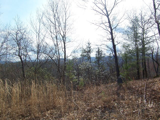 Main View