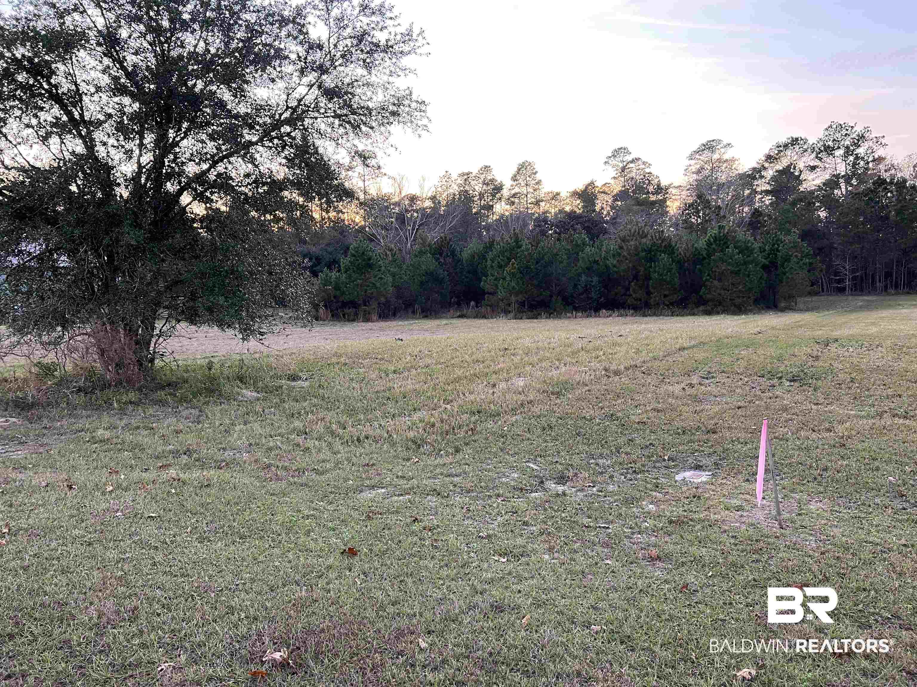 23331 Balsam Creek Drive Elberta, AL 36530 - Photo 6 of 17