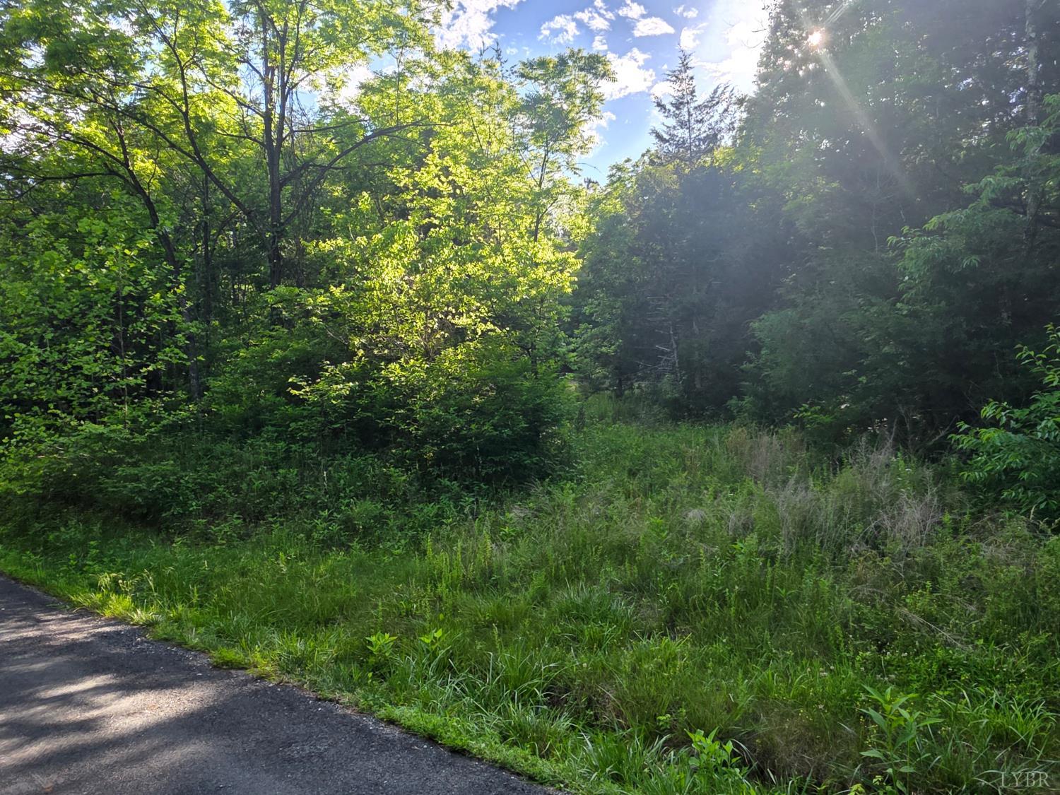 0 Dreaming Creek Road Concord, VA 24538 - Photo 6 of 15