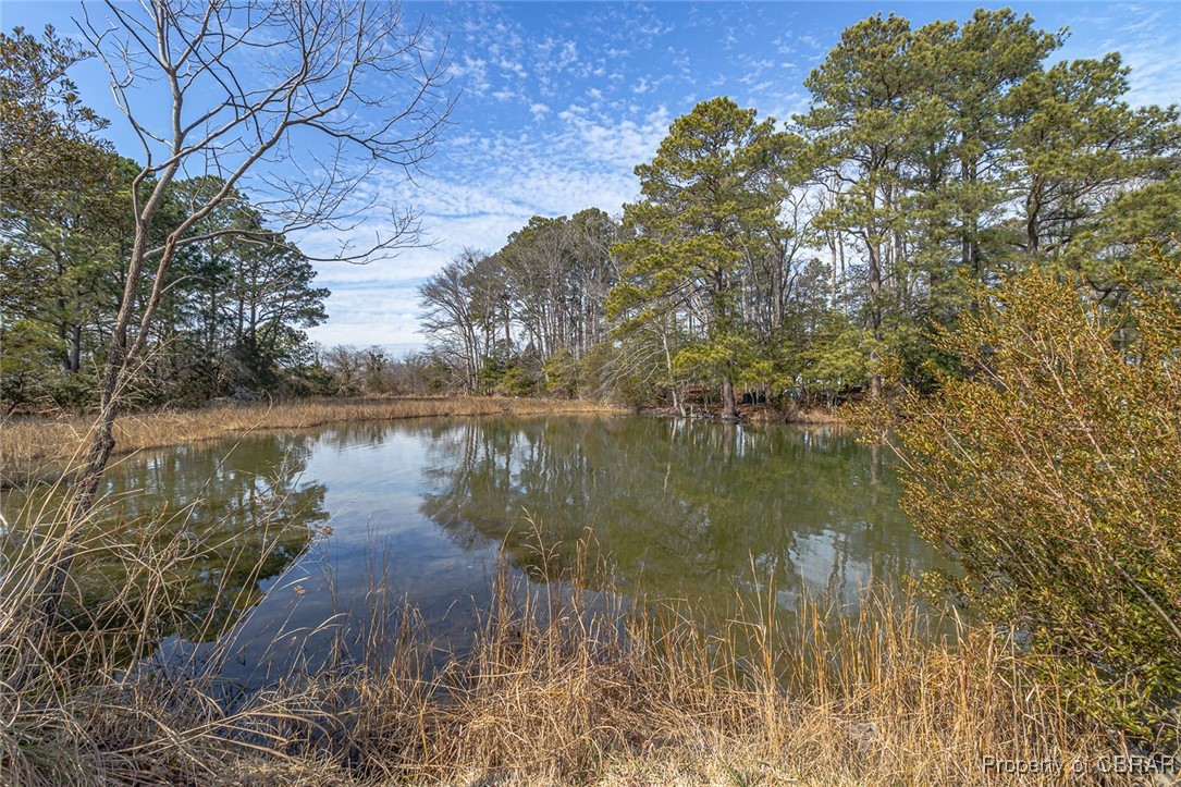 357 Harveys Neck Road Heathsville, VA 22473 - Photo 31 of 50