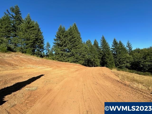 526258 Southwest Pumpkinseed Road Willamina, OR 97396 - Photo 12 of 24