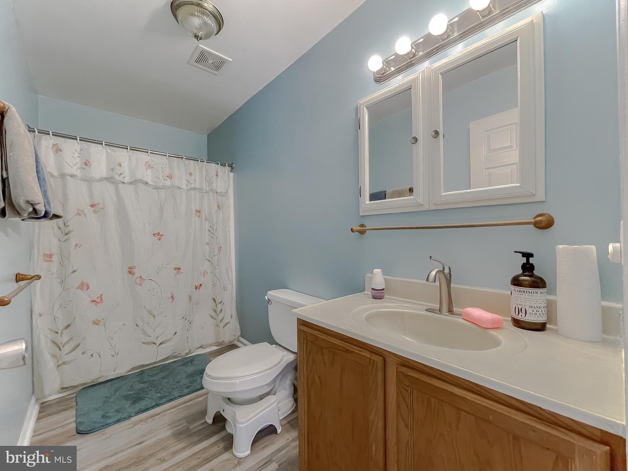 28845 Point Lookout Road Leonardtown, MD 20650 - Photo 10 of 20 1st floor bath