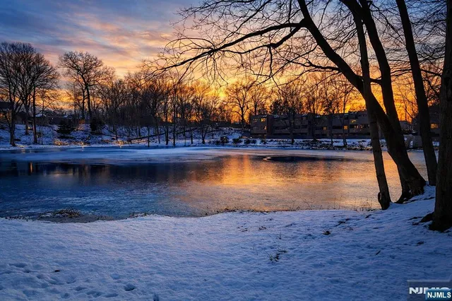 a view of a lake with trees