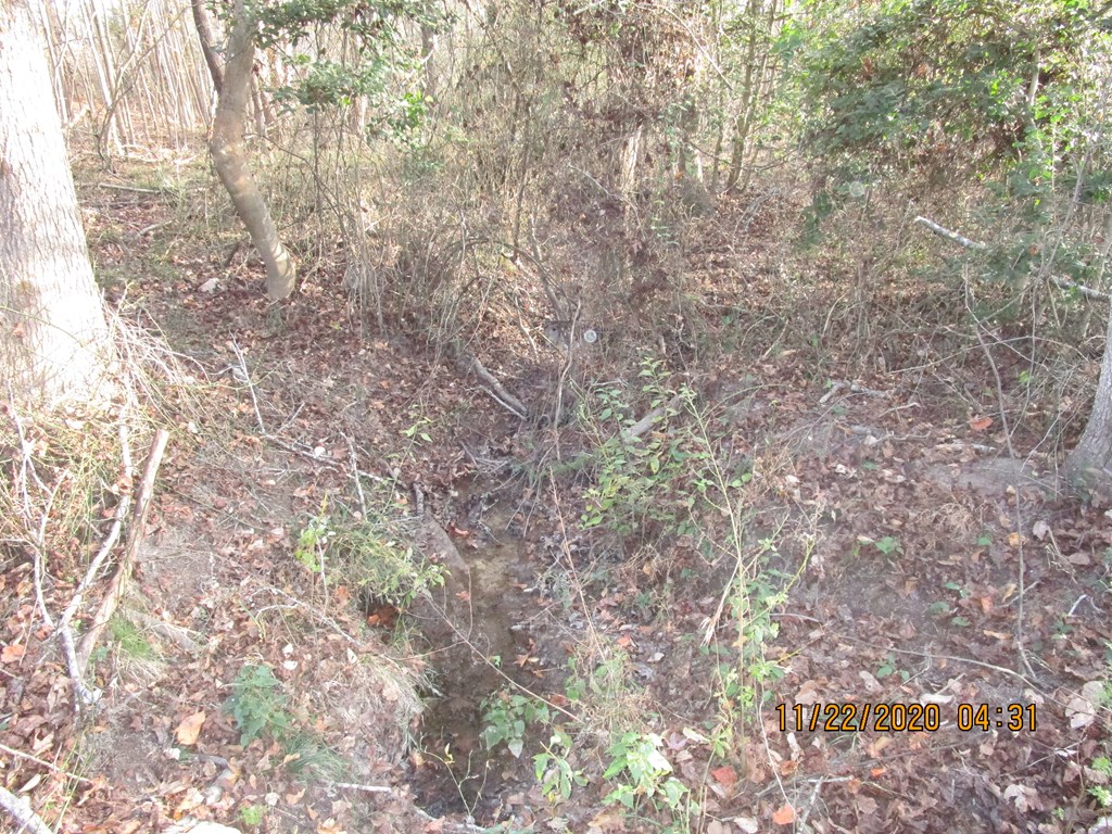 0 Gin House Road Abbeville, SC 29620 - Photo 3 of 7 Gallery Image 3