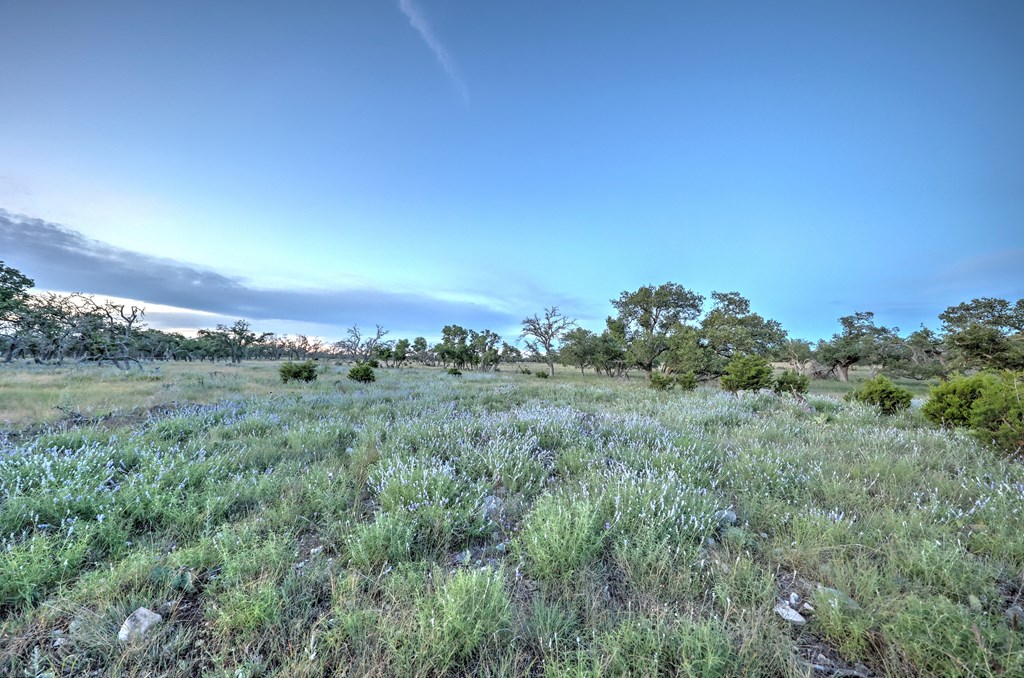 0 Stevens Ranch Road Harper, TX 78631 - Photo 21 of 31 a view of a green field