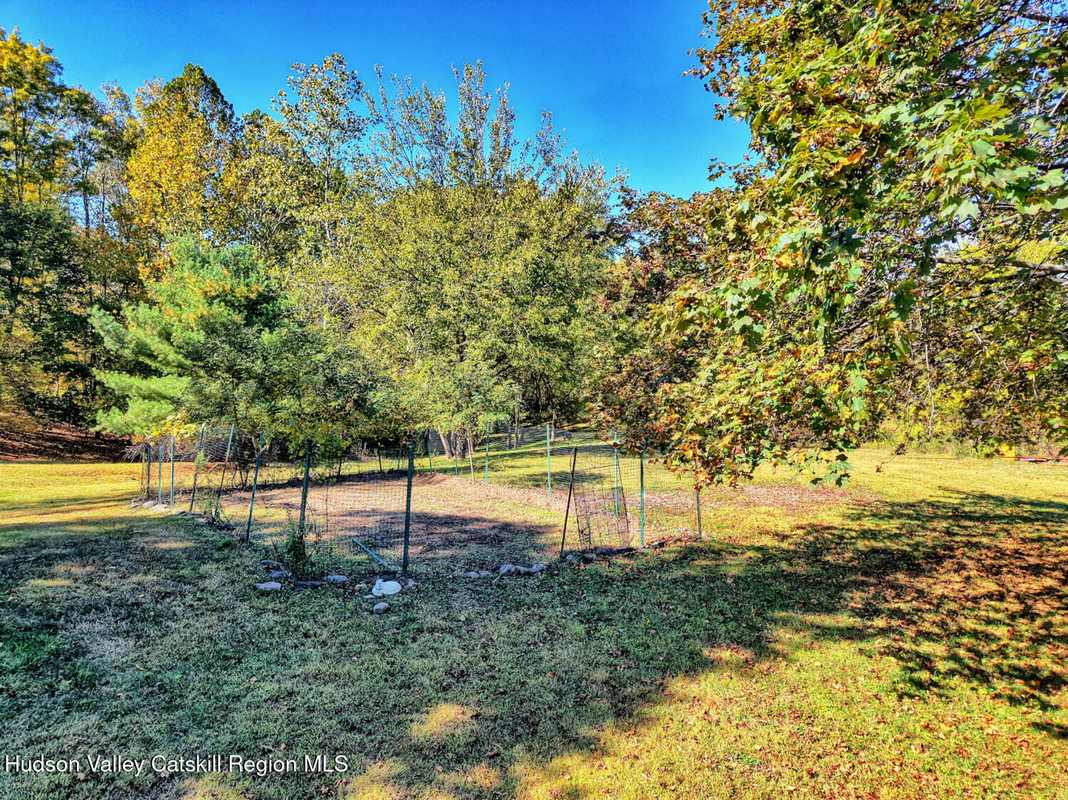 626 Bross Street Cairo, NY 12413 - Photo 71 of 78 a view of a yard with a tree