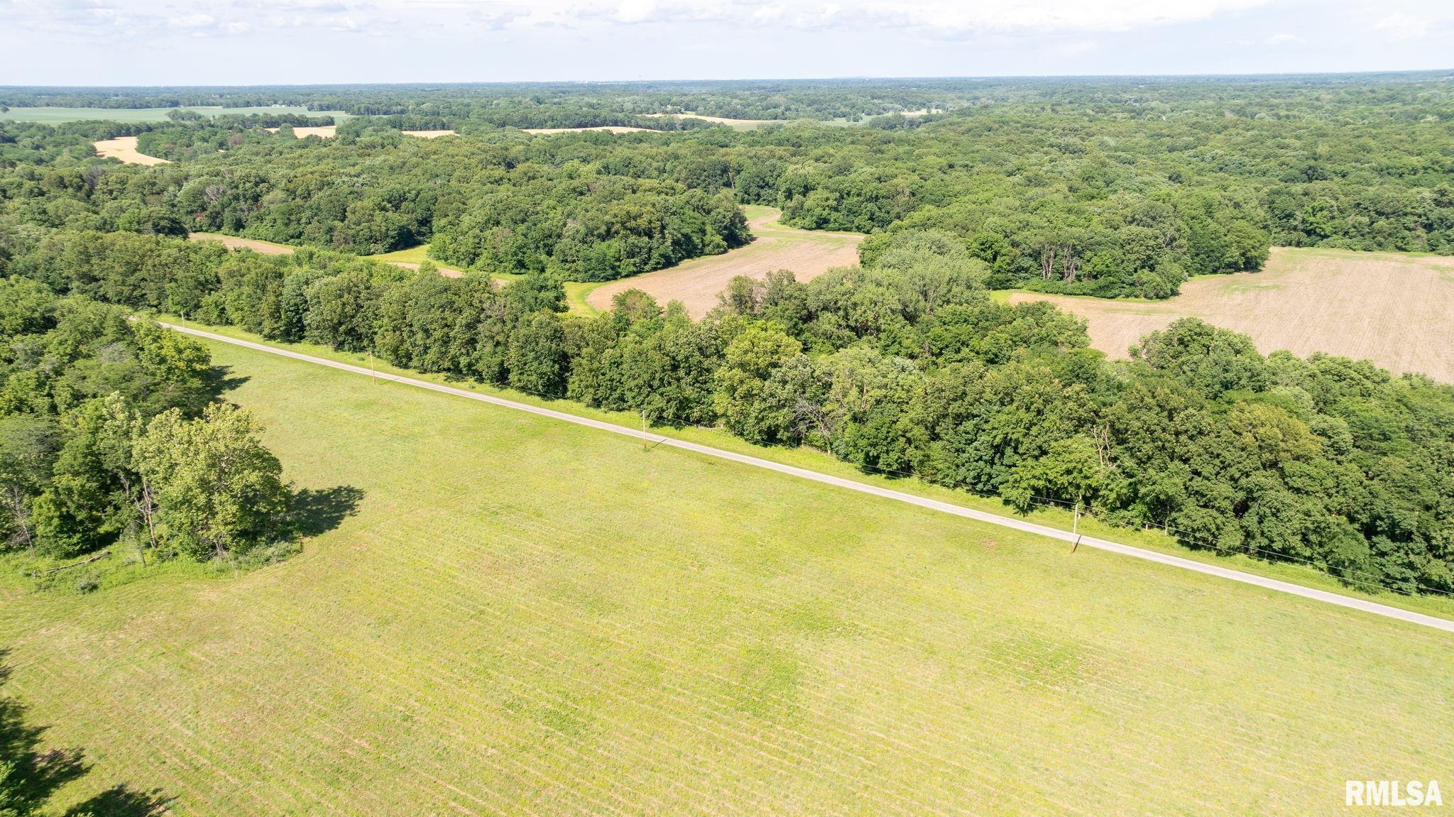 8543 Frey Road Pleasant Plains, IL 62677 - Photo 6 of 23
