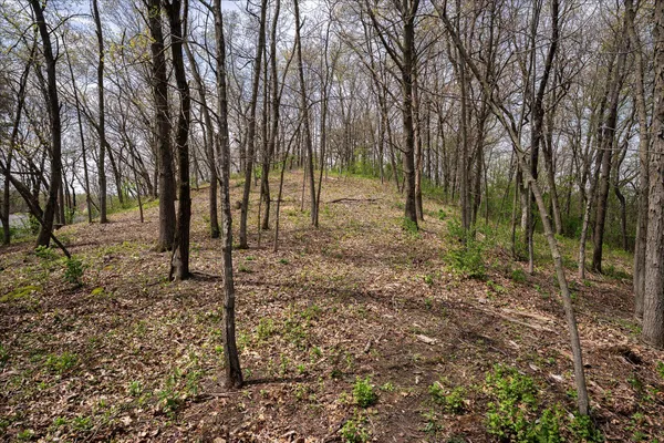 $439,000 | 924 Defreese Street, Viroqua, WI 54665