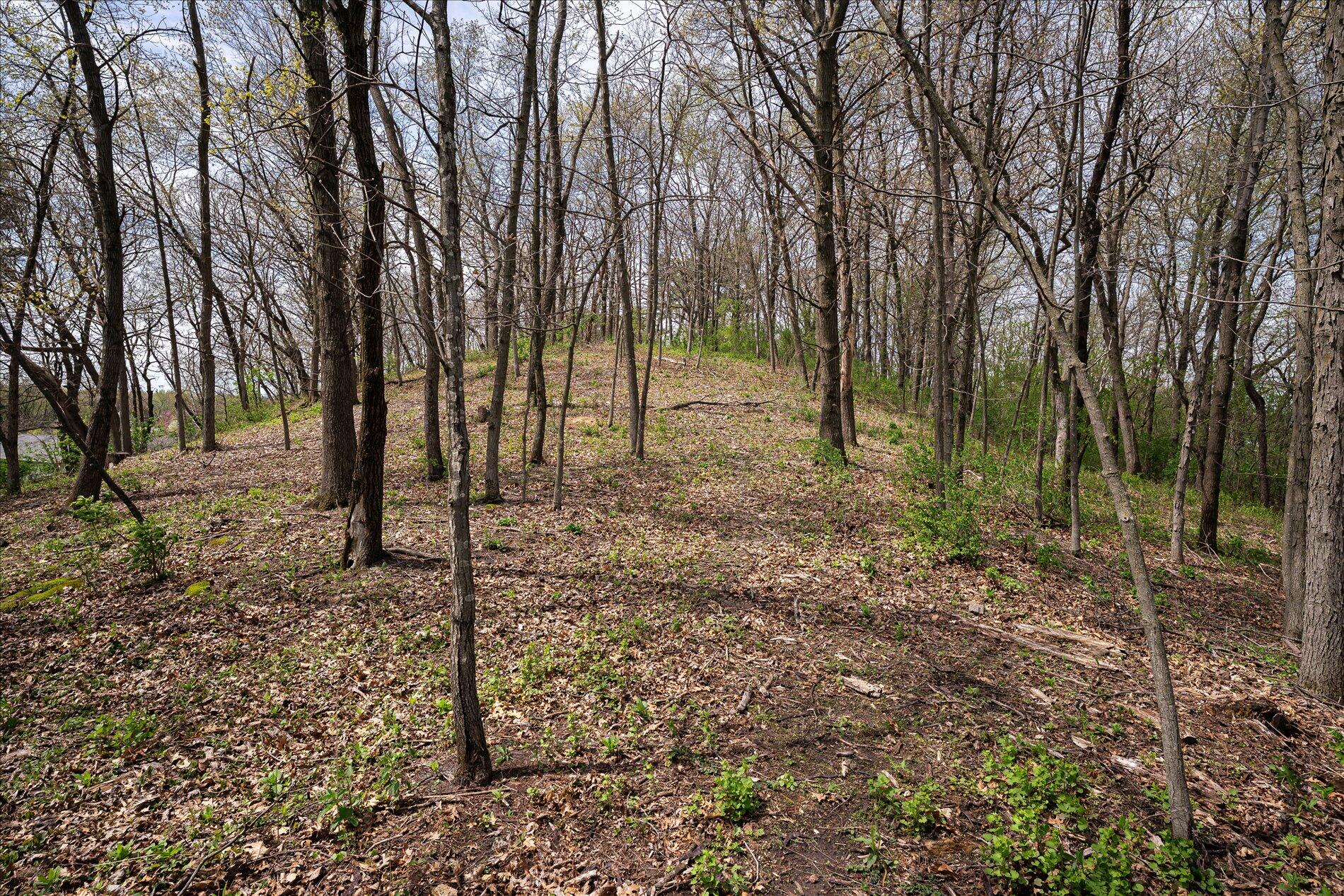 924 Defreese Street Viroqua, WI 54665 - Photo 27 of 47 Restorative Forest
