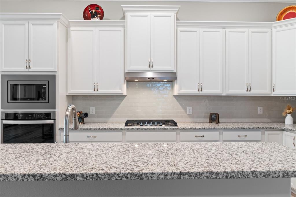 263 West Doerr Path Hernando, FL 34442 - Photo 17 of 87