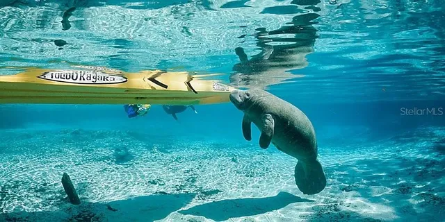 $359,900 | 263 West Doerr Path, Hernando, FL 34442